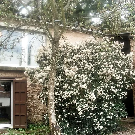 Holiday home El Zarzo De Nemesio, Alberca Barbacoa 2 Hab 4 Pers Mas 2 Max *